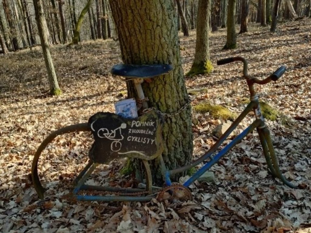Kuriozita u cesty - ztracený cyklista