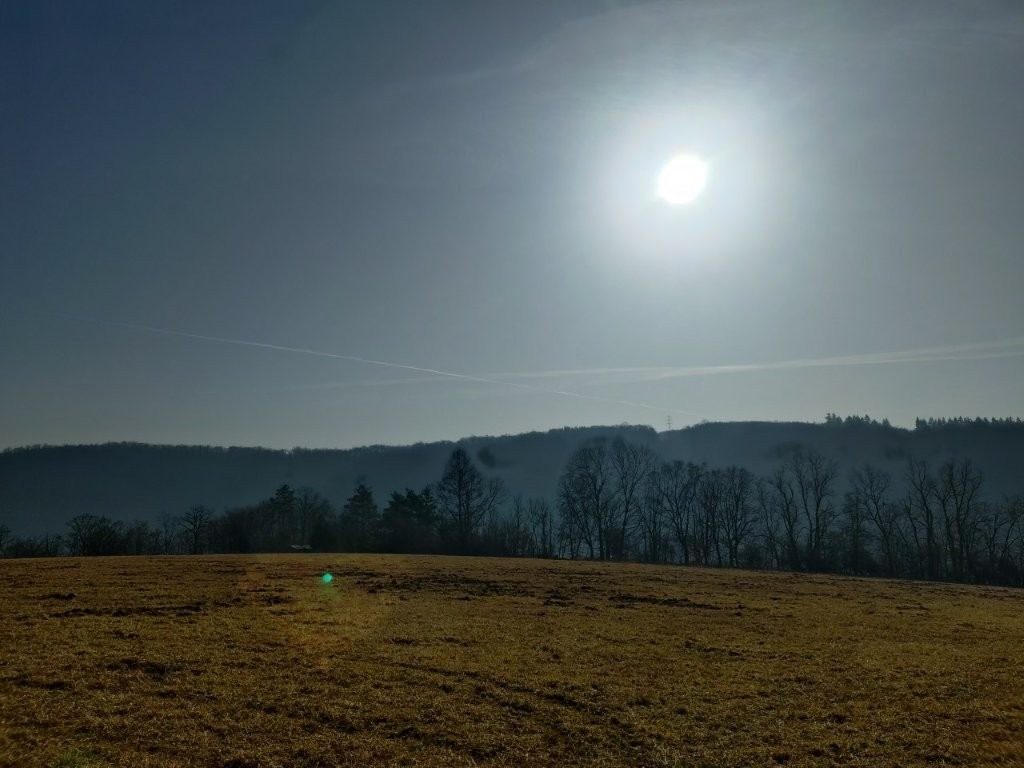 Slunce ozařující polní cestu s lesem na obzoru