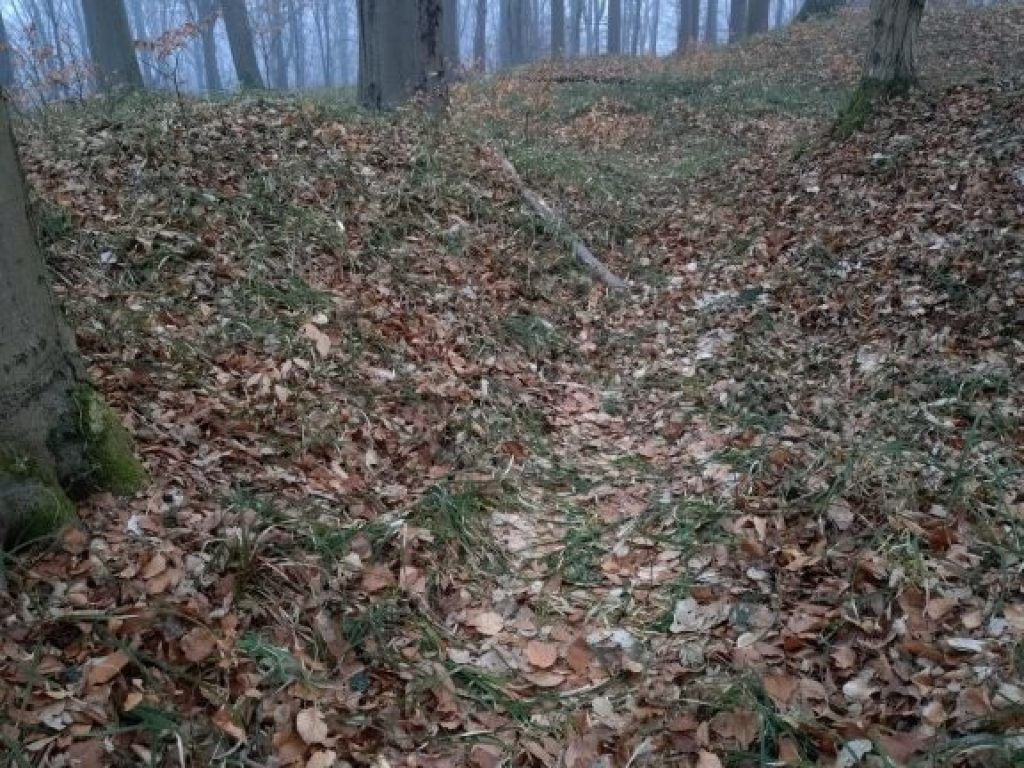 Sklizený spacák, neupravené listí